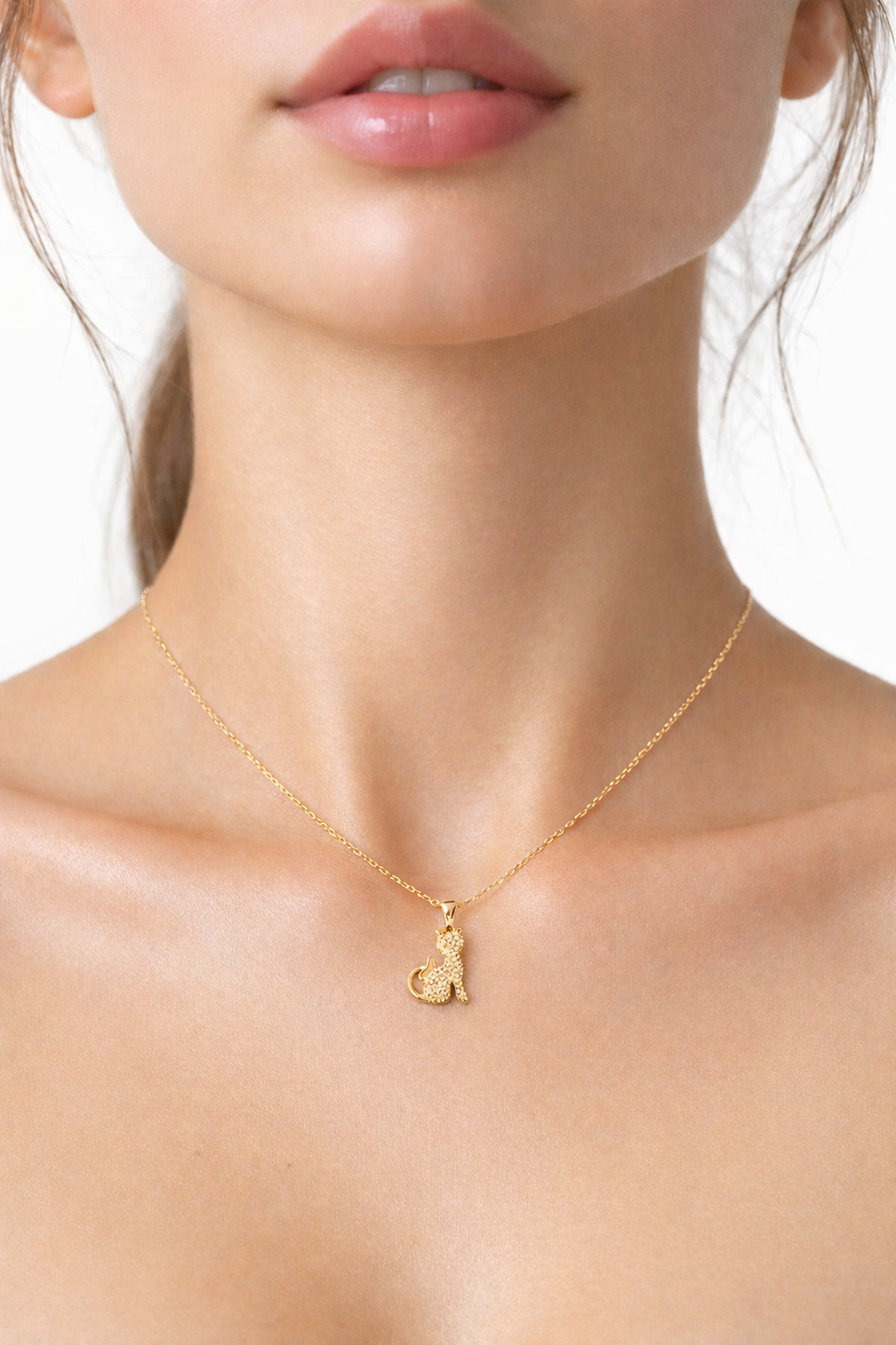 Kedi Figürlü Taşlı Kolye | Kararma Yapmaz Çelik Kolye